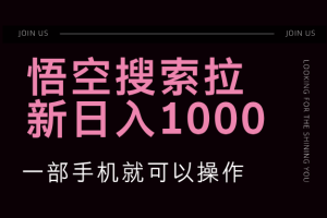 (12717期)悟空搜索类拉新 蓝海项目 一部手机就可以操作 教程非常详细