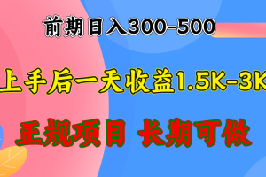(12975期)前期收益300-500左右.熟悉后日收益1500-3000+,稳定项目,全年可做