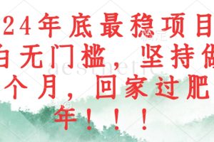 (12970期)2024年底最稳项目,小白无门槛,坚持做三个月,回家过肥年!!!