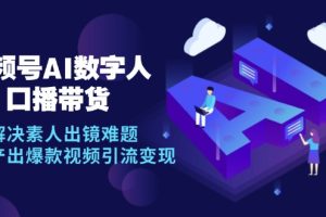 (12958期)视频号数字人AI口播带货,解决素人出镜难题,高效产出爆款视频引流变现