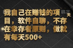 (12956期)我自己在赚钱的项目,软件自聊,不存在幸存者原则,做就有每天500+