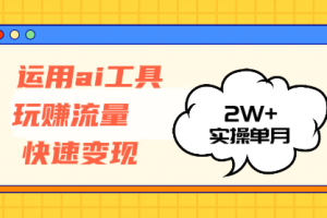 (12955期)运用AI工具玩赚流量快速变现 实操单月2w+