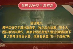 (12949期)黑神话悟空小白简单无脑操作拉新单天收益一千+