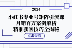 (12943期)小红书专业号矩阵引流课,月销百万案例解析,精准获客技巧全揭秘