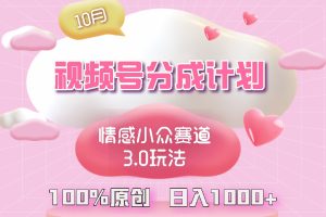 (12939期)视频号情感小众赛道3.0.纯原创视频,每天1小时,小白易上手