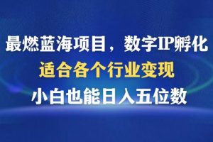 (12941期)最燃蓝海项目  数字IP孵化  适合各个行业变现  小白也能日入5位数