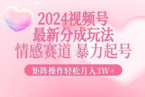 (12922期)2024最新视频号分成玩法,情感赛道,暴力起号,矩阵操作轻松月入3W+