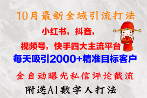 (12921期)10月最新小红书,抖音,视频号,快手四大平台全域引流,,每天吸引2000…
