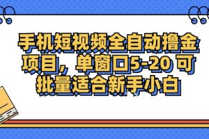 (12898期)手机短视频掘金项目,单窗口单平台5-20 可批量适合新手小白
