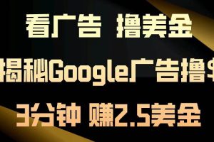 (13114期)看广告,撸美金!3分钟赚2.5美金!日入200美金不是梦!揭秘Google广告…