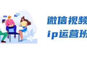 (13228期)微信视频号ip运营班:特邀分享+CEO直播+精英分享,揭秘视频号变现秘诀