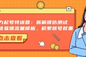 (13184期)暴力起号特训营:拆解模仿测试,打造易爆流量模板,积累账号权重